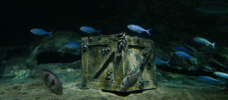 A sunken treasure box in the bottom of the Ocean.